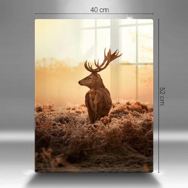 Üveg vágódeszka Szarvas a mezőn