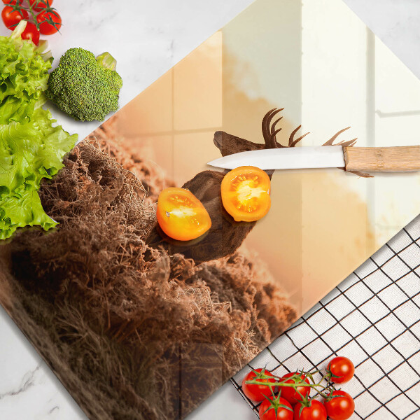 Üveg vágódeszka Szarvas a mezőn