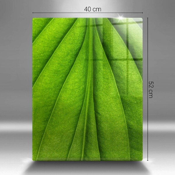 Üveg vágódeszka Természet ér levél