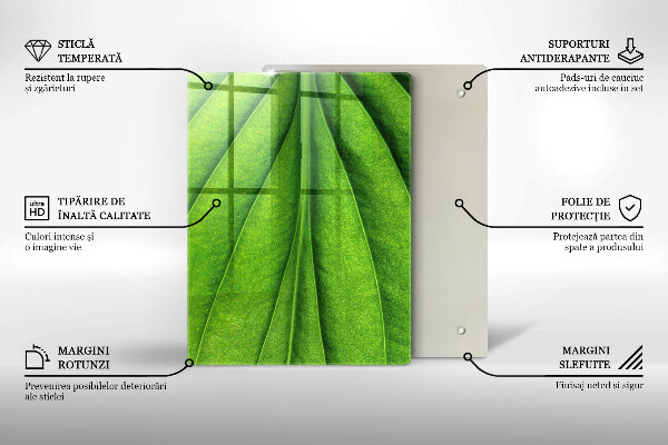Üveg vágódeszka Márvány kő textúra
