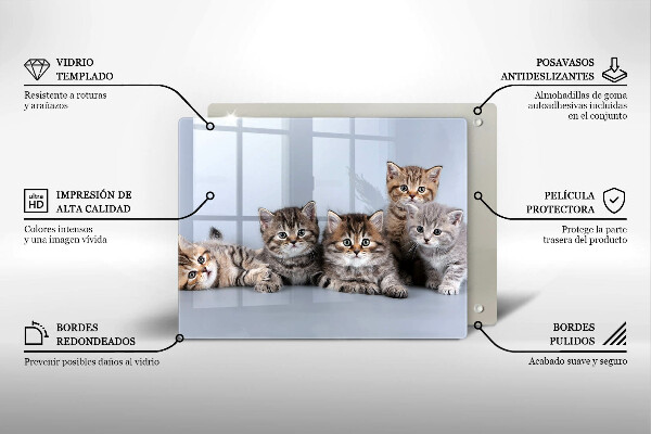 Üveg vágódeszka Édes kis cicák