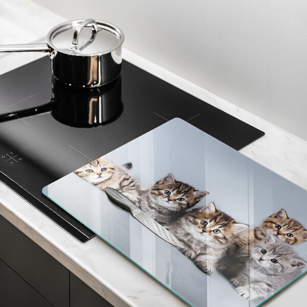 Üveg vágódeszka Édes kis cicák