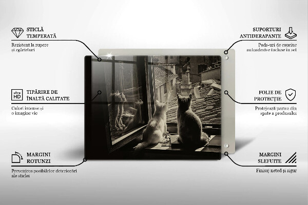 Üveg vágódeszka Macskák város és ablak