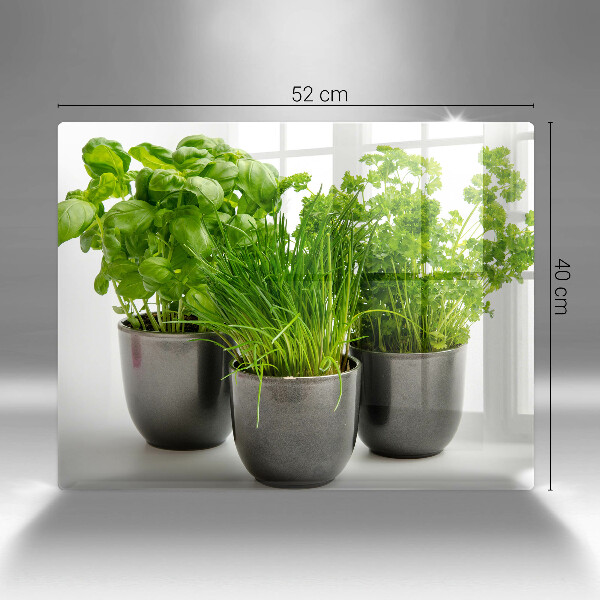 Üveg vágódeszka Edények gyógynövényekkel