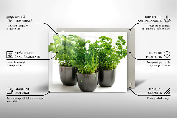 Üveg vágódeszka Edények gyógynövényekkel