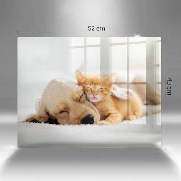 Üveg vágódeszka Állatok kutya és macska