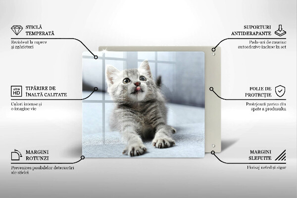 Üveg vágódeszka Aranyos kis cica