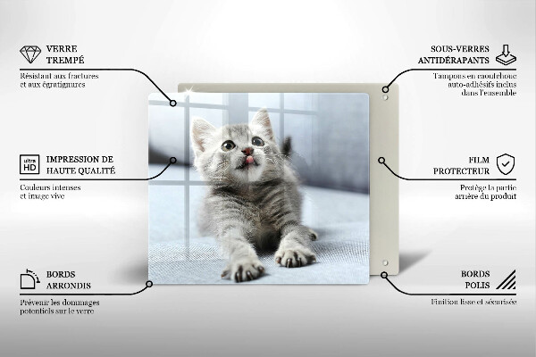 Üveg vágódeszka Aranyos kis cica