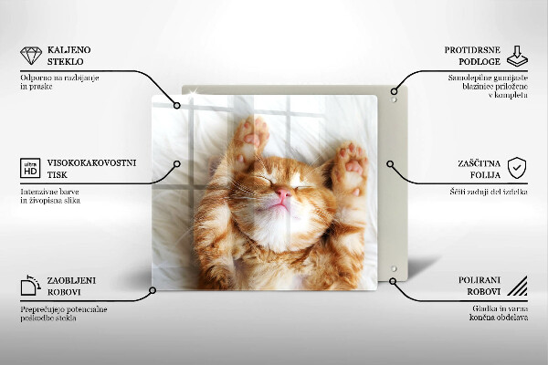 Üveg vágódeszka Aranyos kis cica