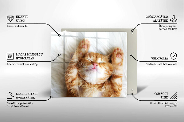 Üveg vágódeszka Aranyos kis cica