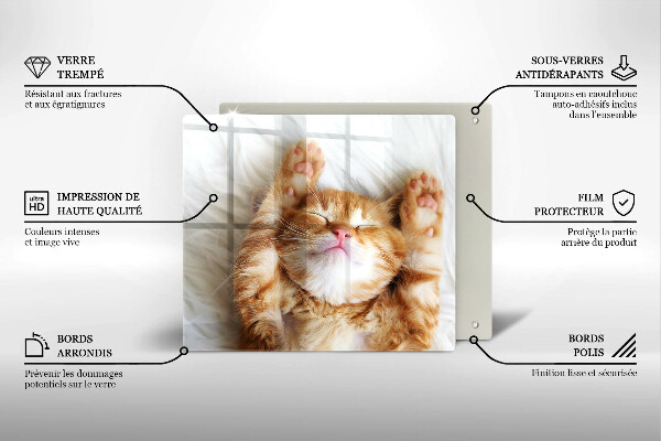 Üveg vágódeszka Aranyos kis cica