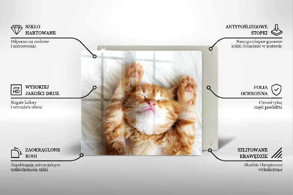 Üveg vágódeszka Aranyos kis cica