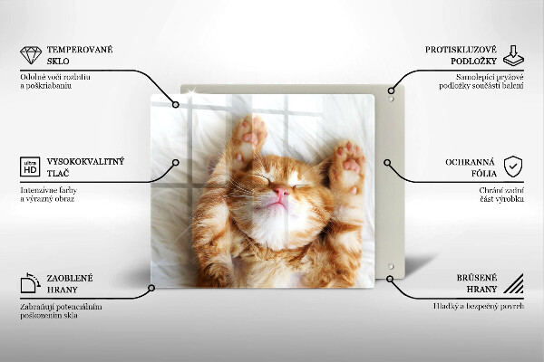 Üveg vágódeszka Aranyos kis cica