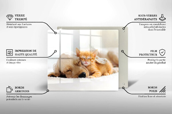 Üveg vágódeszka Állatok kutya és macska