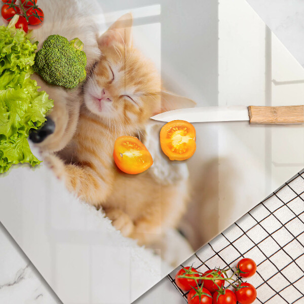 Üveg vágódeszka Állatok kutya és macska