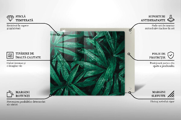 Üveg vágódeszka Növények levelei