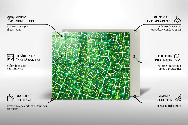 Üveg vágódeszka Levélszerkezet