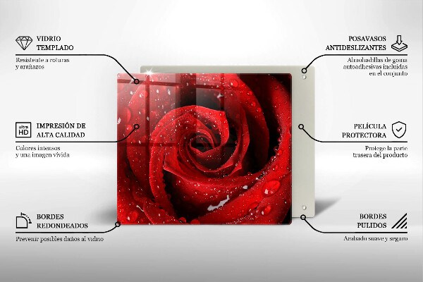 Üveg vágódeszka Rózsa virág szirmai