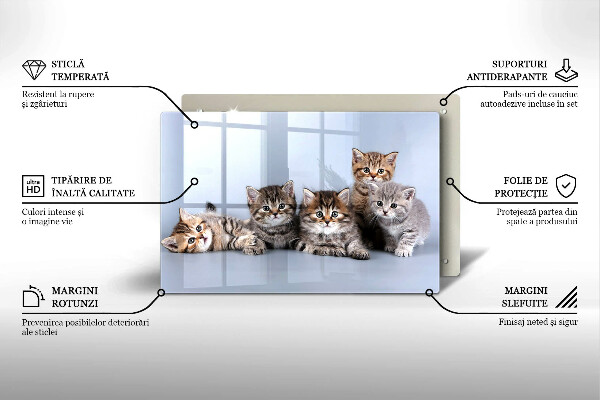 Üveg vágódeszka Édes kis cicák