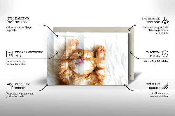 Üveg vágódeszka Aranyos kis cica