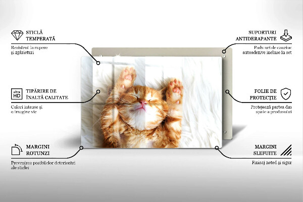 Üveg vágódeszka Aranyos kis cica