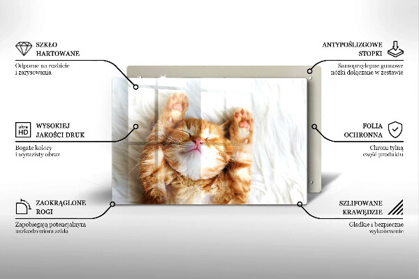 Üveg vágódeszka Aranyos kis cica