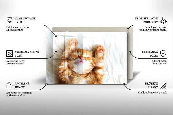 Üveg vágódeszka Aranyos kis cica