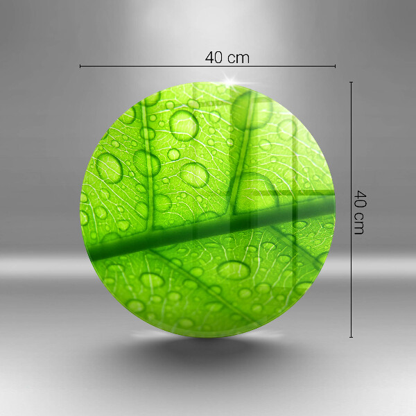 Üveg vágódeszka Közeli kép egy levélről