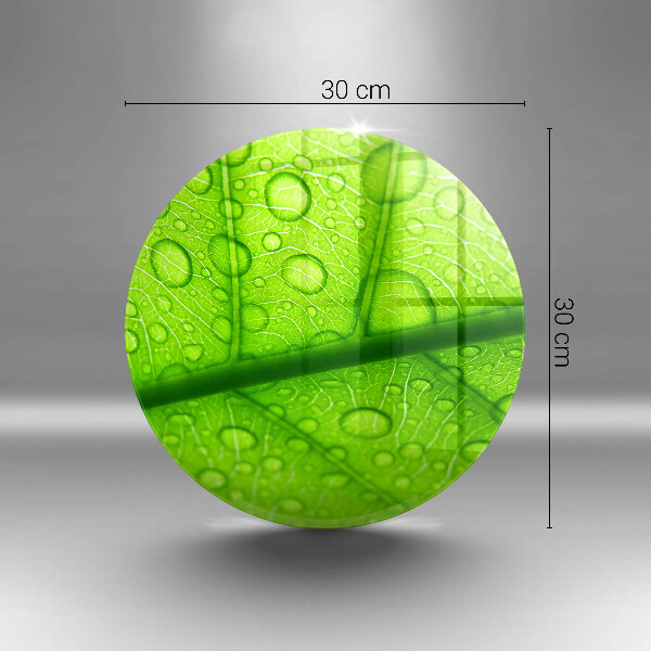 Üveg vágódeszka Közeli kép egy levélről