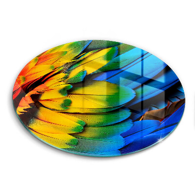 Üveg vágódeszka Színes papagáj toll