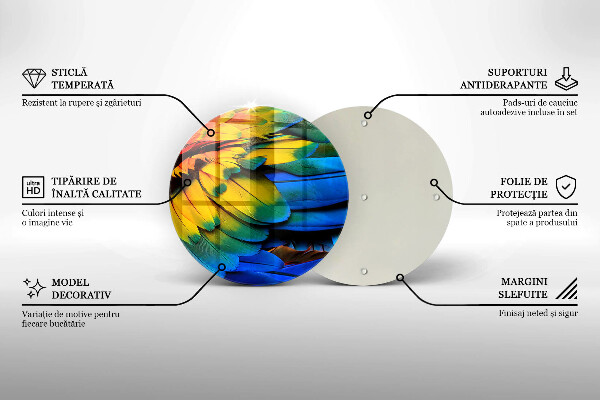 Üveg vágódeszka Színes papagáj toll