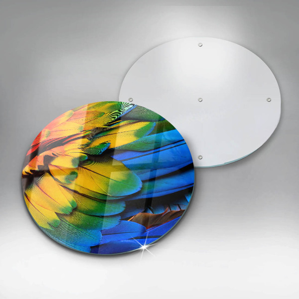 Üveg vágódeszka Színes papagáj toll