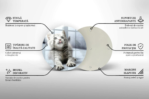 Üveg vágódeszka Aranyos kis cica