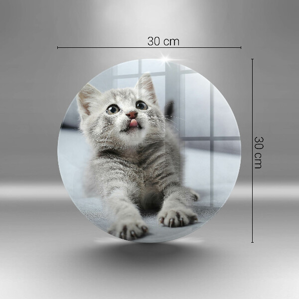 Üveg vágódeszka Aranyos kis cica