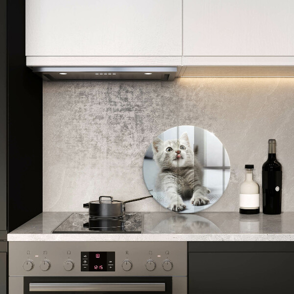 Üveg vágódeszka Aranyos kis cica