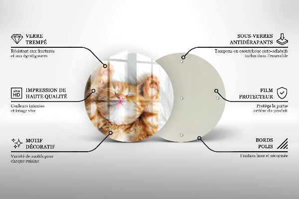 Üveg vágódeszka Aranyos kis cica