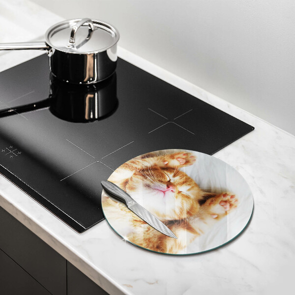 Üveg vágódeszka Aranyos kis cica