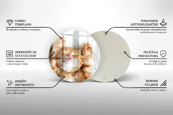 Üveg vágódeszka Aranyos kis cica