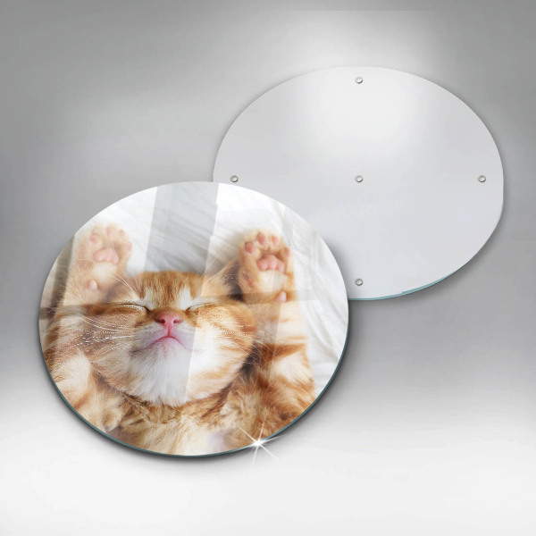 Üveg vágódeszka Aranyos kis cica