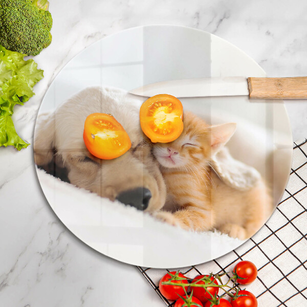 Üveg vágódeszka Állatok kutya és macska