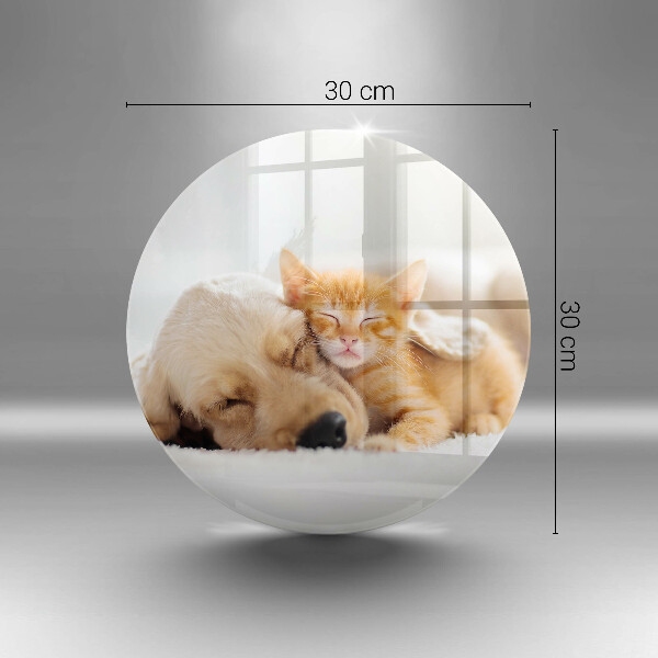 Üveg vágódeszka Állatok kutya és macska