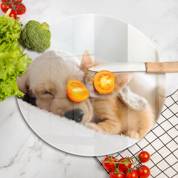 Üveg vágódeszka Állatok kutya és macska
