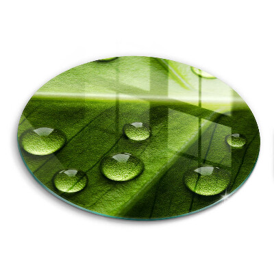 Üveg vágódeszka Természet harmat és levél