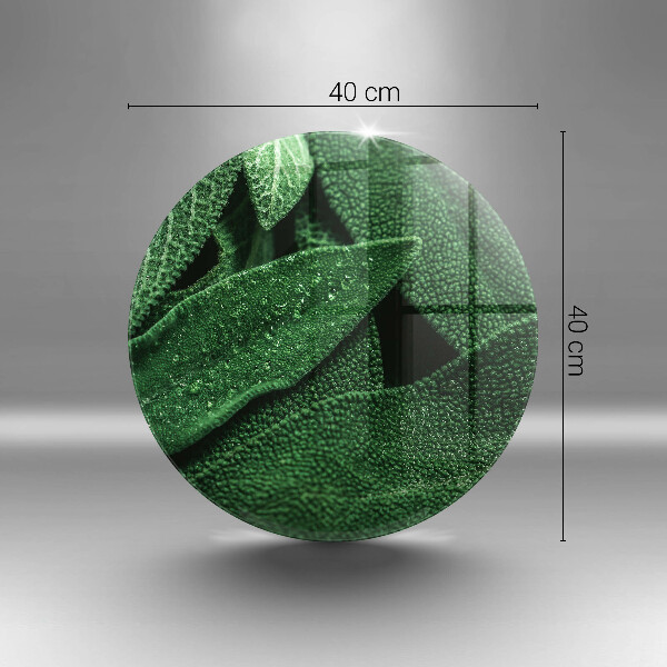 Üveg vágódeszka A növény levelei