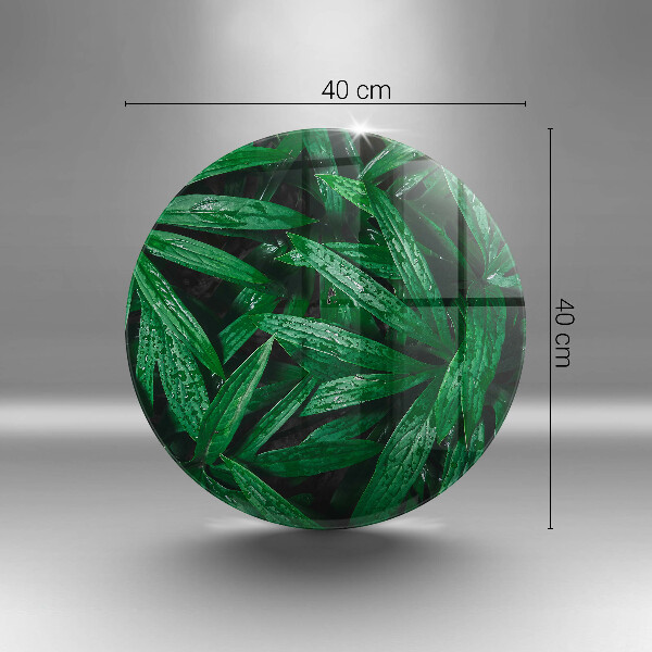 Üveg vágódeszka Növények levelei