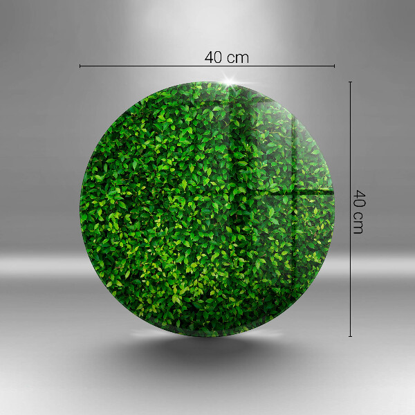 Üveg vágódeszka Növény kis levelekkel