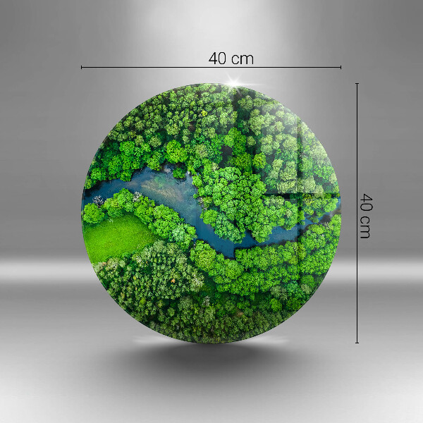 Üveg vágódeszka Erdő és folyó madártávlatból