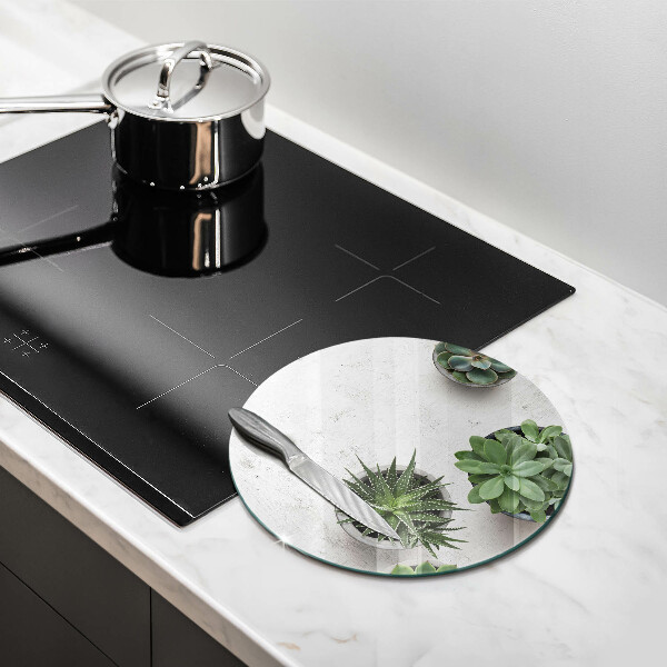 Üveg vágódeszka Pozsgás növények betonon