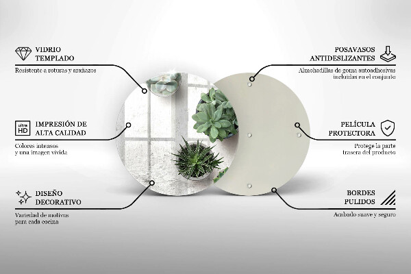 Üveg vágódeszka Pozsgás növények betonon