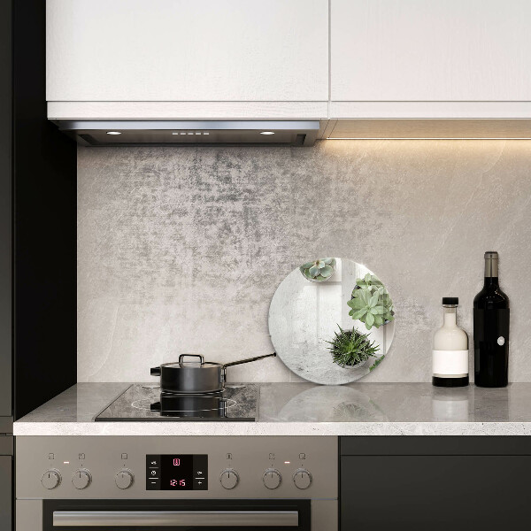 Üveg vágódeszka Pozsgás növények betonon